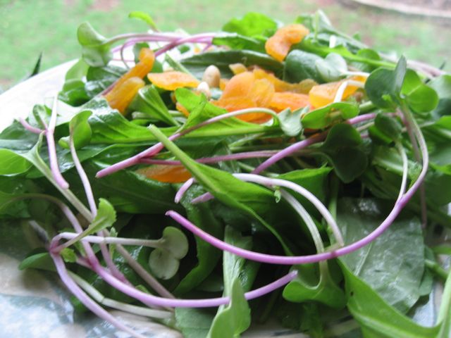 Arugula Salad with Apricots and Lemon Dressing